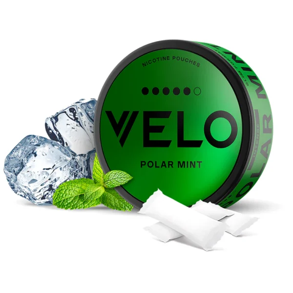 VELO POLAR MINT